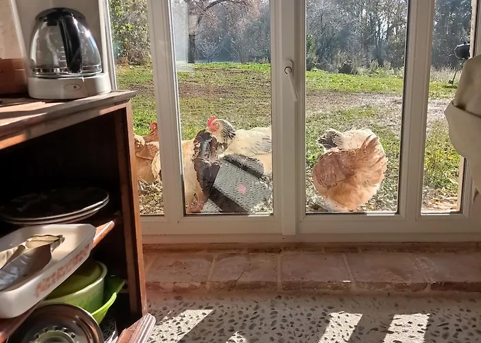 Domaine De La Borde Puy-lʼÉvêque