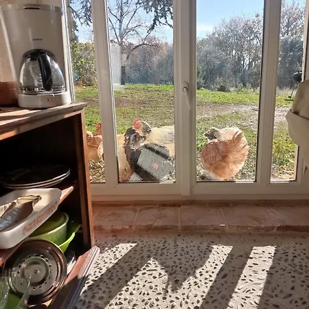 Domaine De La Borde Puy-l'Eveque